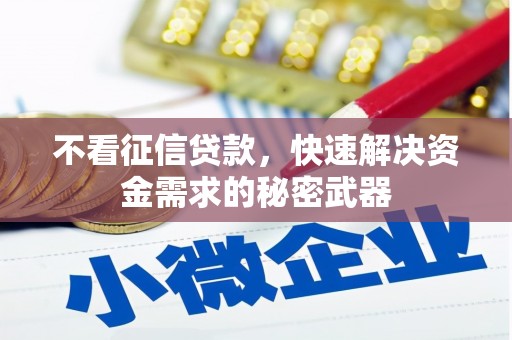 桂平不看征信贷款，快速解决资金需求的秘密武器
