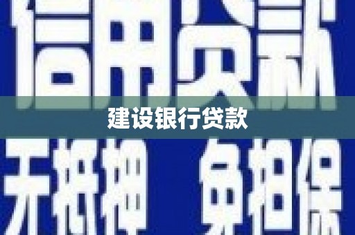 桂平建设银行贷款