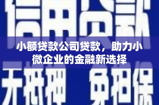 桂平小额贷款公司贷款，助力小微企业的金融新选择