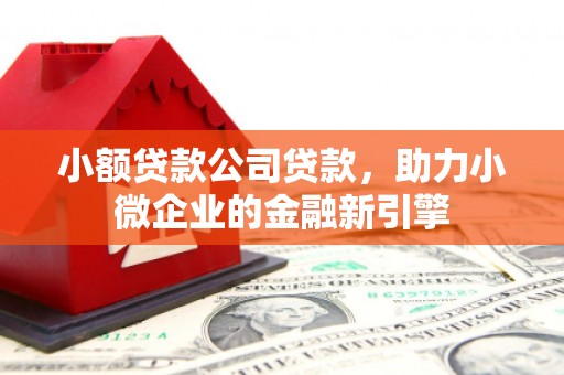 桂平小额贷款公司贷款，助力小微企业的金融新引擎