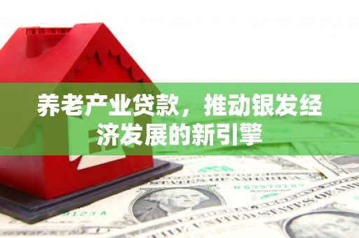 桂平养老产业贷款，推动银发经济发展的新引擎