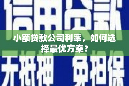 桂平小额贷款公司利率，如何选择最优方案？