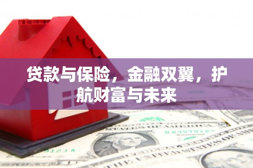 桂平贷款与保险，金融双翼，护航财富与未来