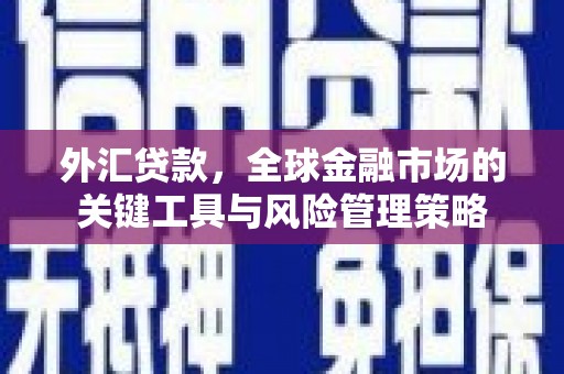 桂平外汇贷款，全球金融市场的关键工具与风险管理策略