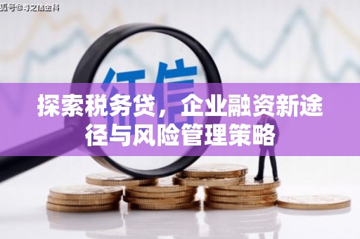 桂平探索税务贷，企业融资新途径与风险管理策略