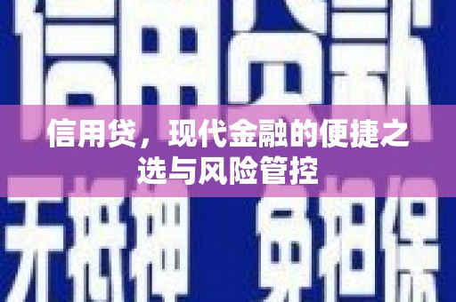 桂平信用贷，现代金融的便捷之选与风险管控