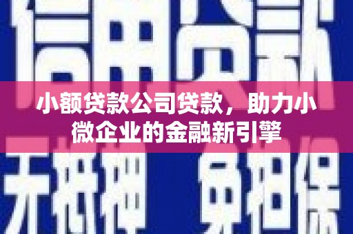 桂平小额贷款公司贷款，助力小微企业的金融新引擎