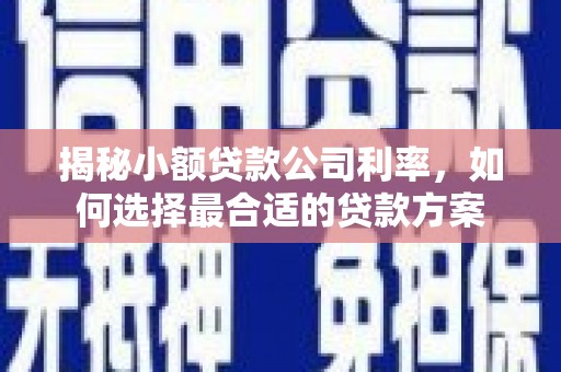 桂平揭秘小额贷款公司利率，如何选择最合适的贷款方案