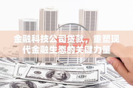 桂平金融科技公司贷款，重塑现代金融生态的关键力量