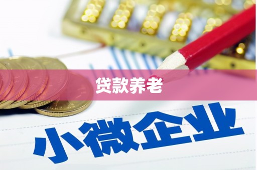桂平贷款养老