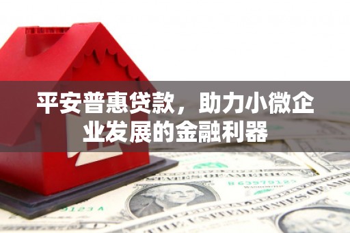 桂平平安普惠贷款，助力小微企业发展的金融利器