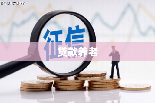 桂平贷款养老
