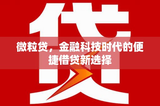 桂平微粒贷，金融科技时代的便捷借贷新选择