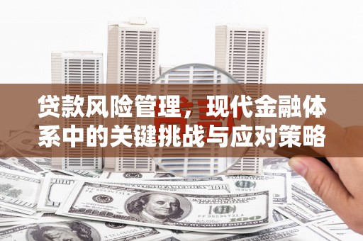 桂平贷款风险管理，现代金融体系中的关键挑战与应对策略