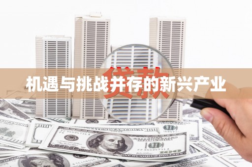桂平机遇与挑战并存的新兴产业