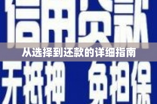 桂平从选择到还款的详细指南