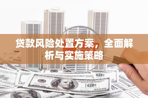 桂平贷款风险处置方案，全面解析与实施策略