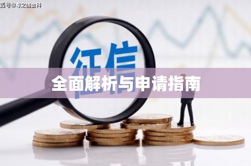 桂平全面解析与申请指南